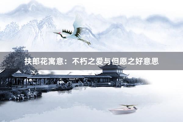 扶郎花寓意：不朽之爱与但愿之好意思
